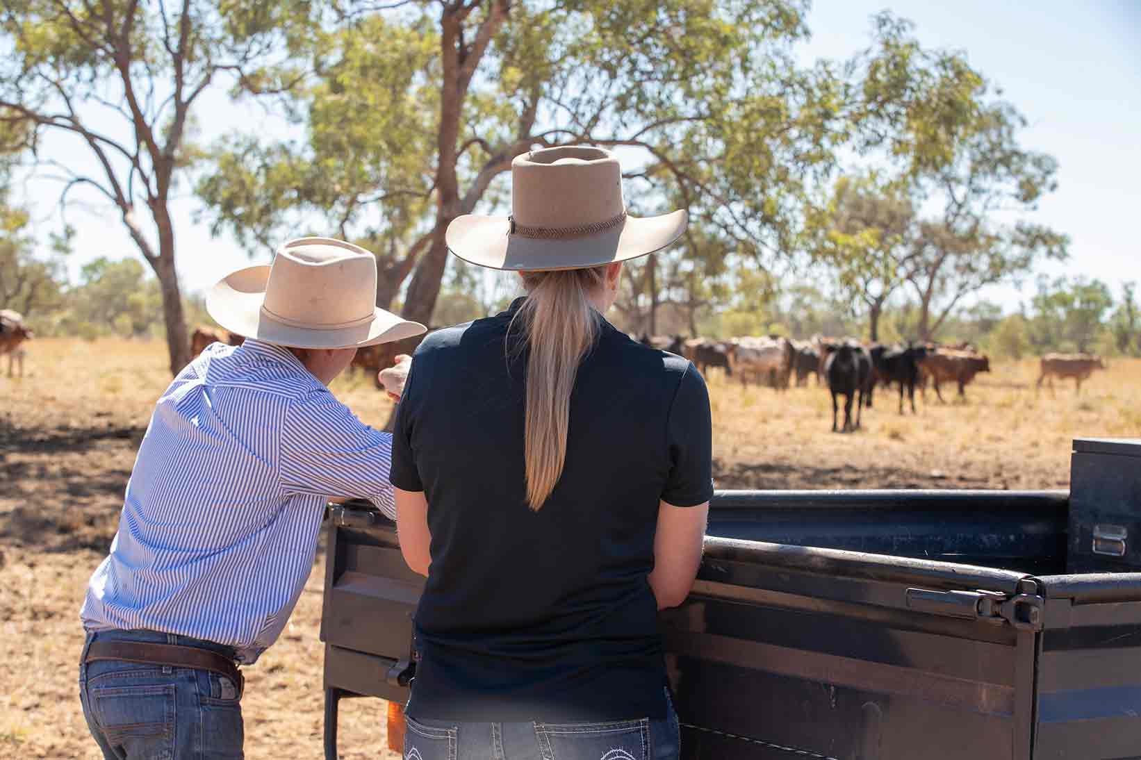 Two people stood in field. Cattle in background.