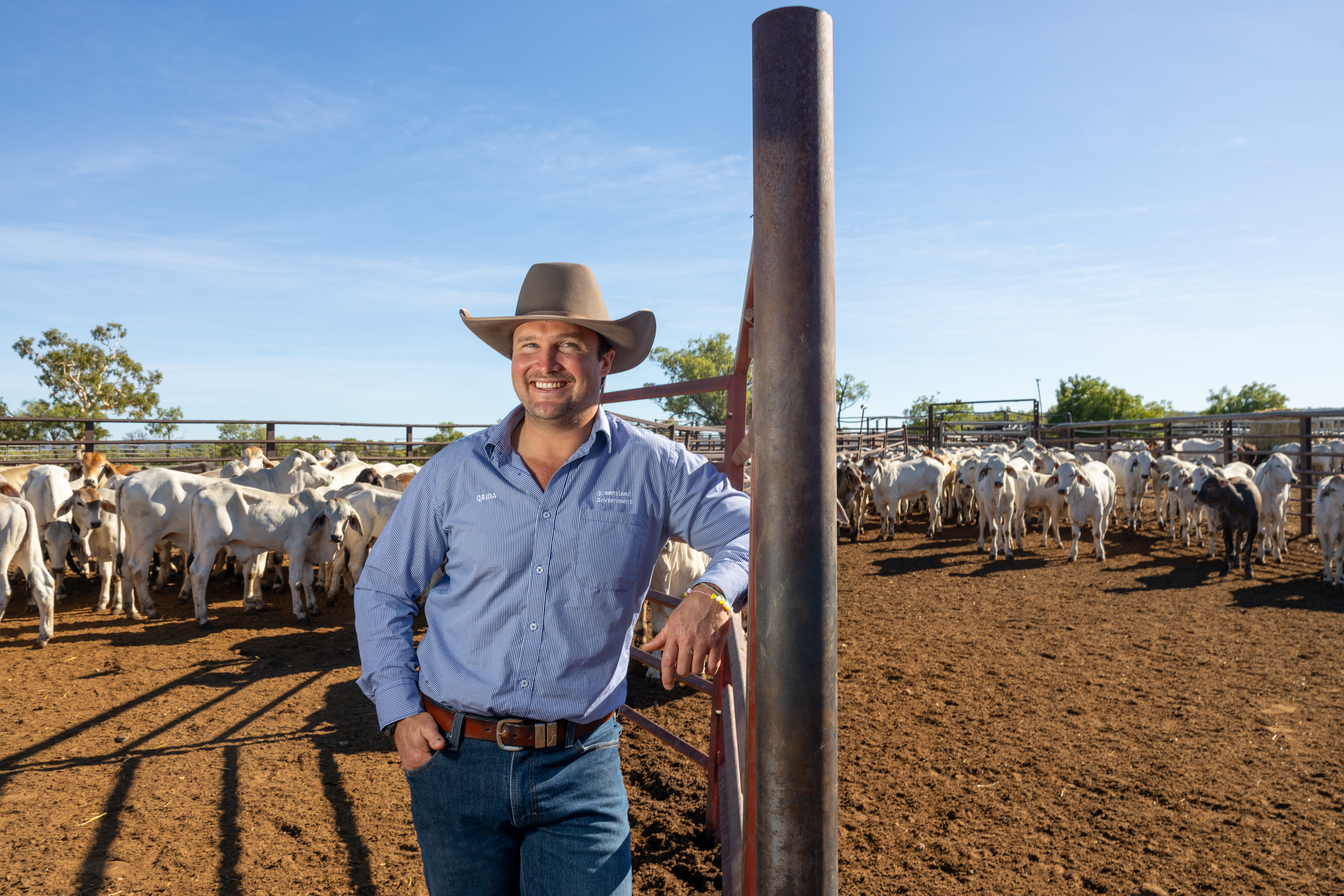 Regional Area Manager for the North West and Gulf, Sam Fryer, standing in a cattle yard