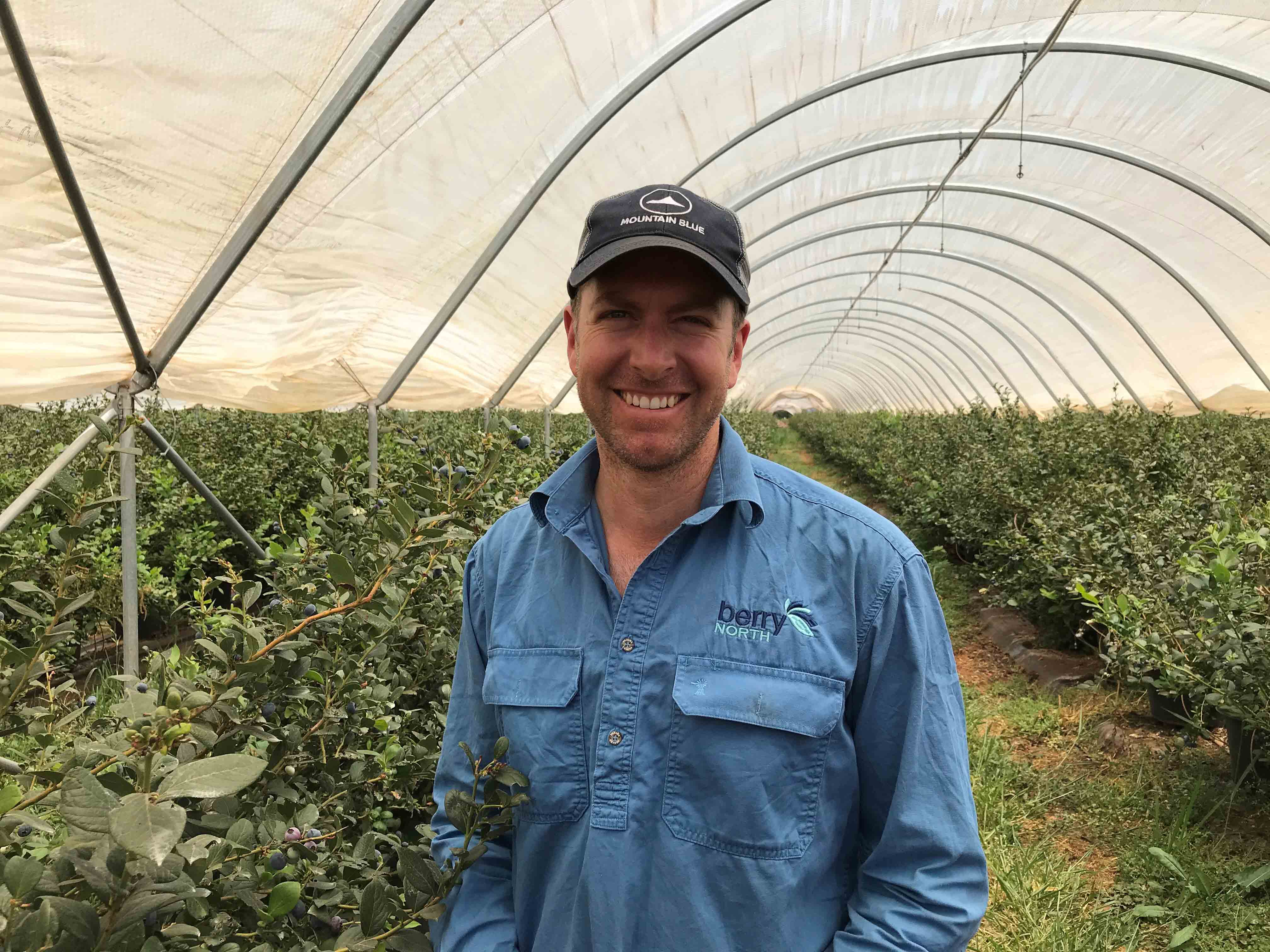 General Manager of Berry North in the Atherton Tablelands, Martin Inderbitzin
