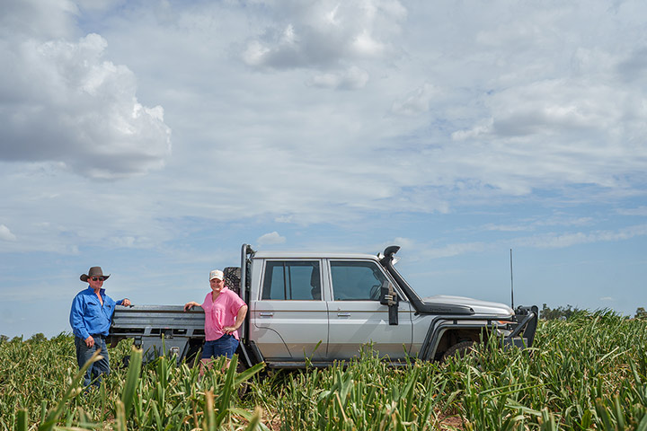 Anthony and Kylee Curtis standing next to their ute amongst a crop of feed