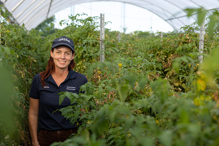 Regional Area Manager, Tegan McBride standing amongst lush tomato vines in greenhouse