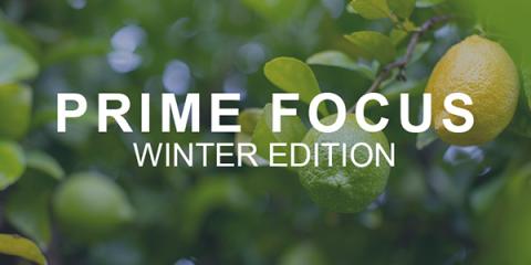Image of lemons on a tree with text overlay saying Prime Focus Winter Edition