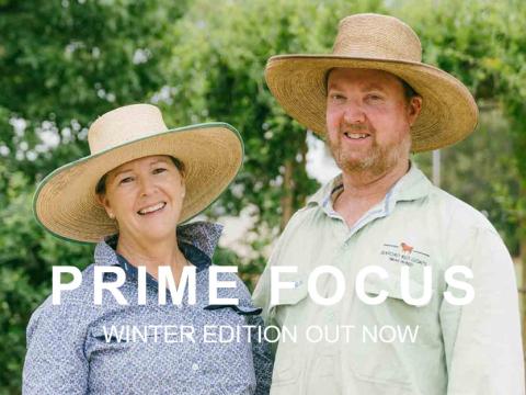 Anita Dennis and Joe Taylor Prime Focus