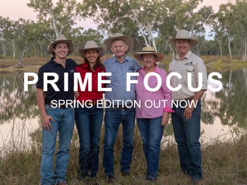 Prime Focus Spring 2024