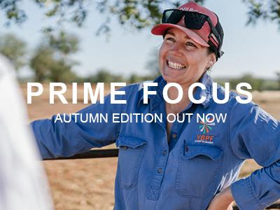 Prime Focus Autumn 2025 edition out now
