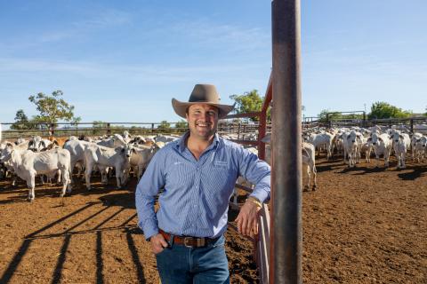 QRIDA Regional Area Manager for North West and Gulf, Sam Fryer, standing in a cattle yard