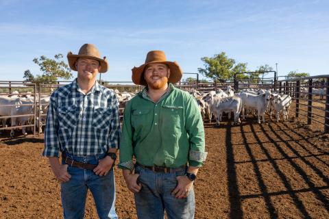 Luke and Jake Anning standing in cattle yard