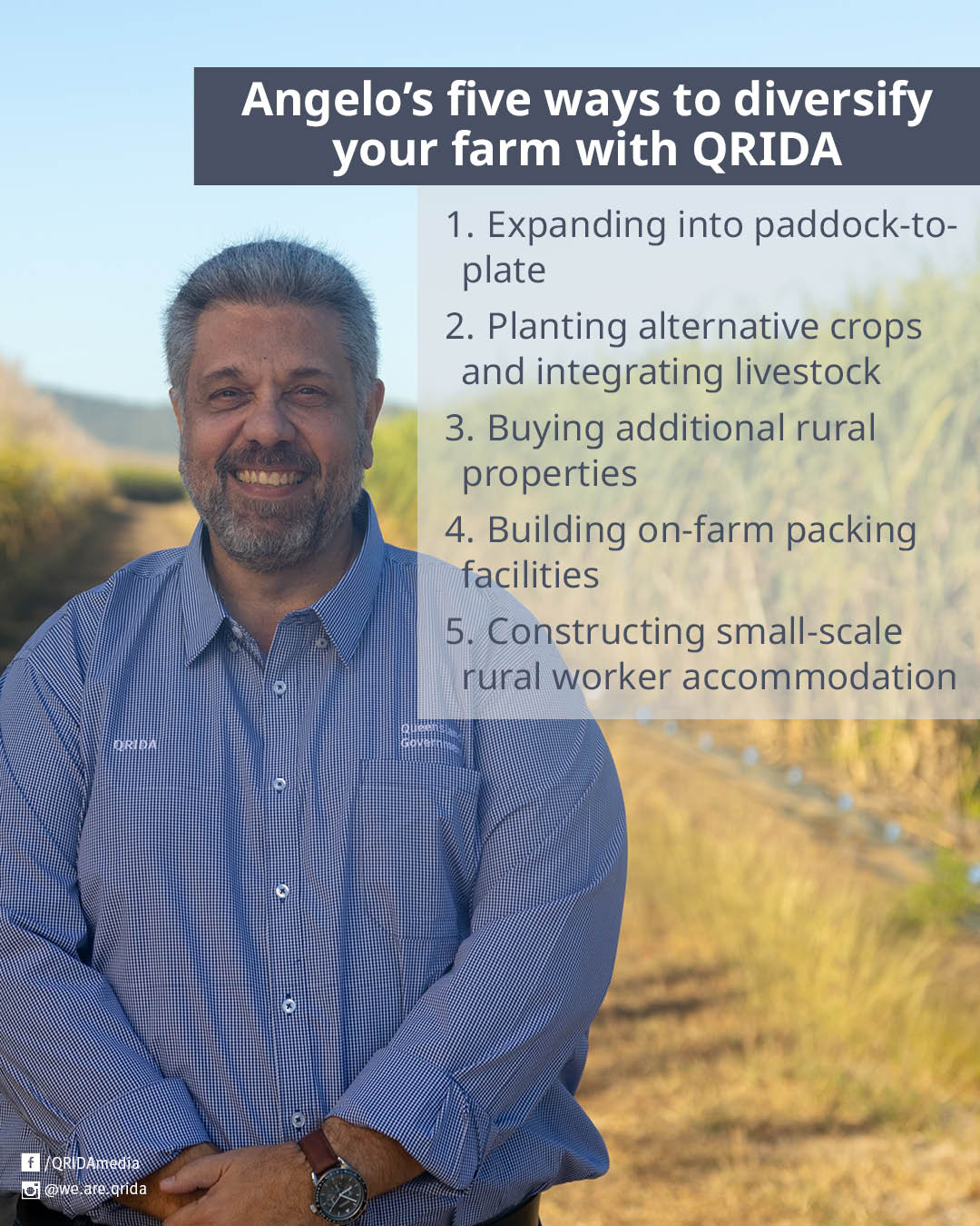 Angelo Diversification article